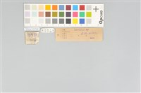 五色鳥藏品圖，第12張